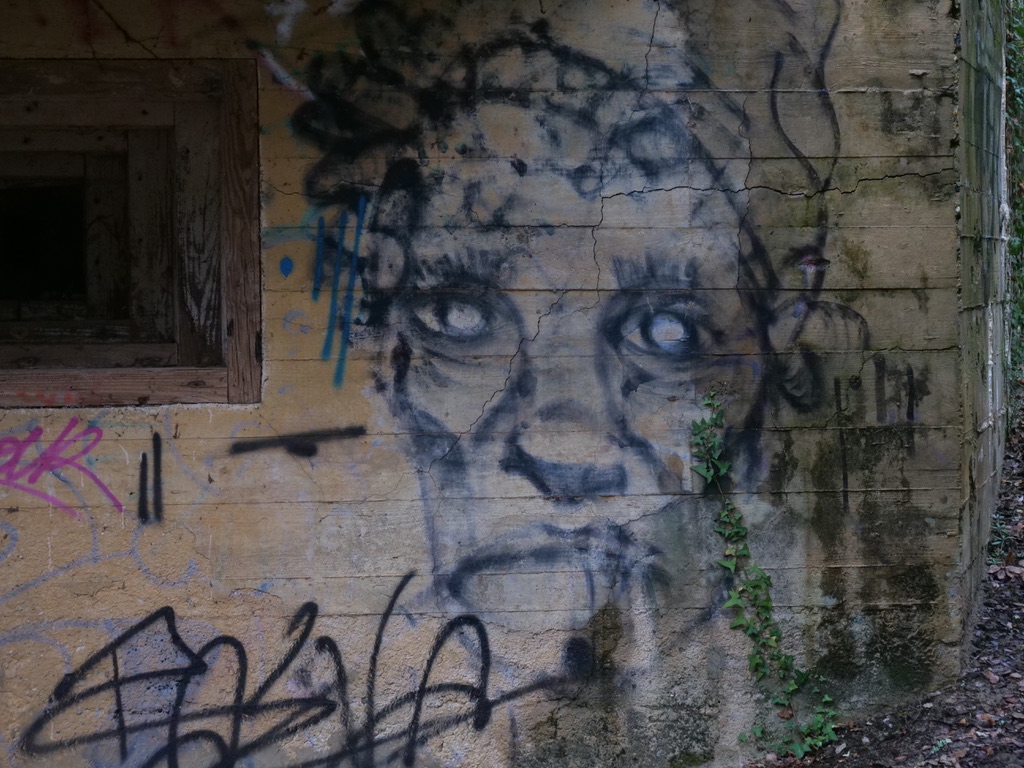 Graffiti bunkers du mur de l'Atlantique