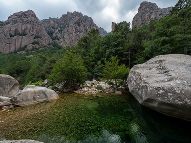p1291153.jpg
