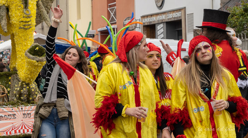 La Fête des Jonquille