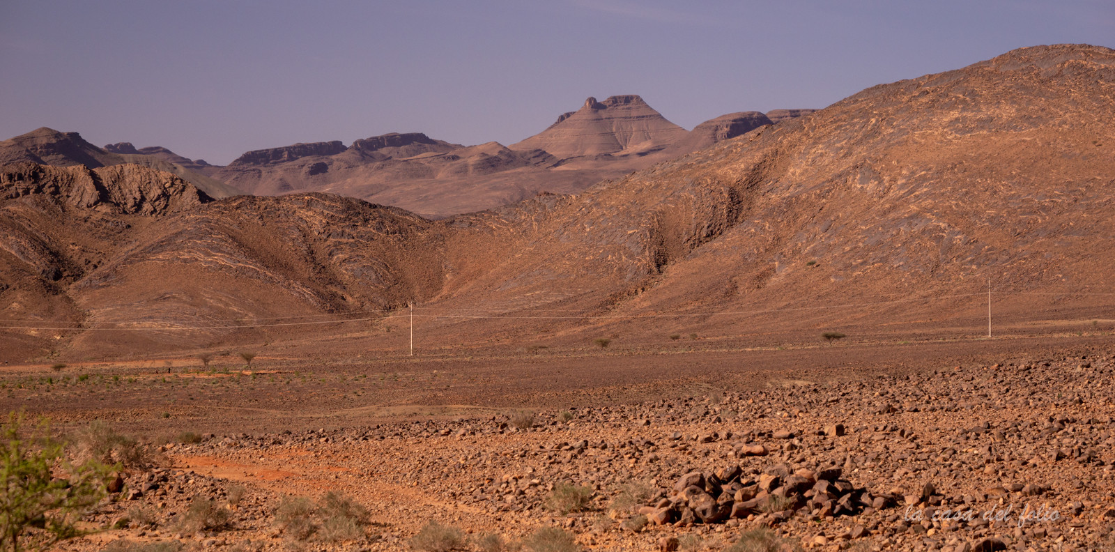 Afrique maroc