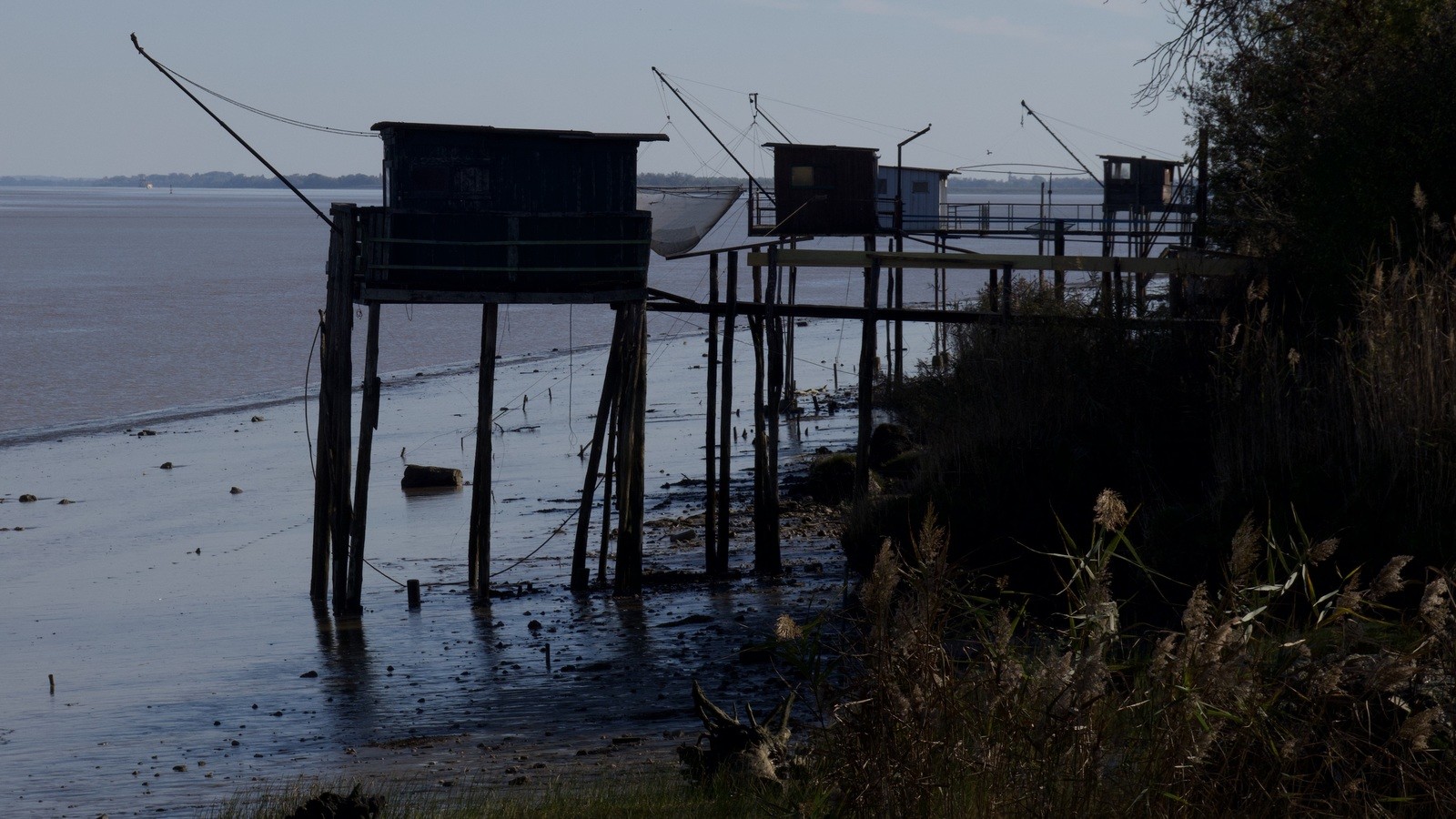 d7975b6a-cda1-497b-ad4f-44f1bca7f054_1_201_a.jpeg