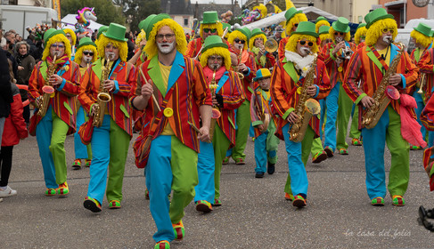 La Fête des Jonquille