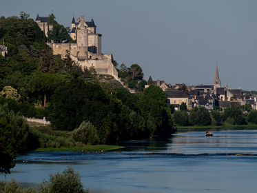 p1458993.jpg