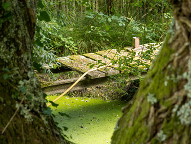 La Magdeleine le Gavre