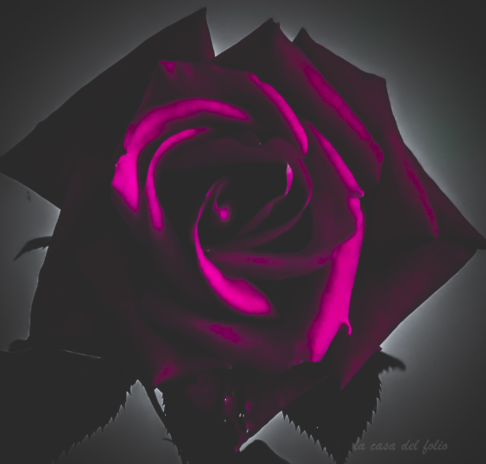 d54f3989-780a-4a24-9ad0-656164b14f29_1_201_a.jpg