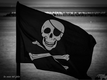 6b8ed606-fdab-4c0e-a632-175bf30915eb.jpg