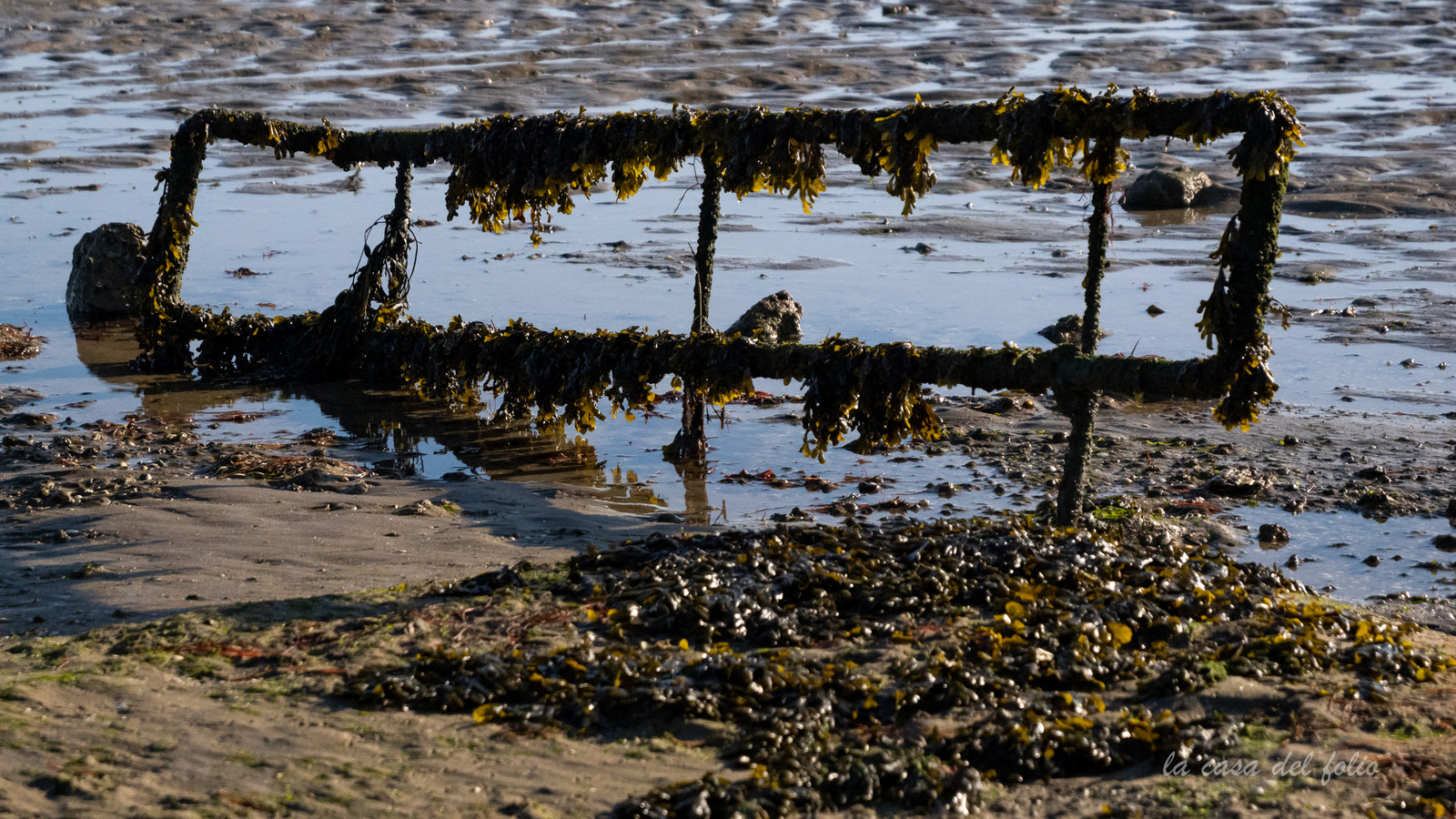 Île de Noirmoutier