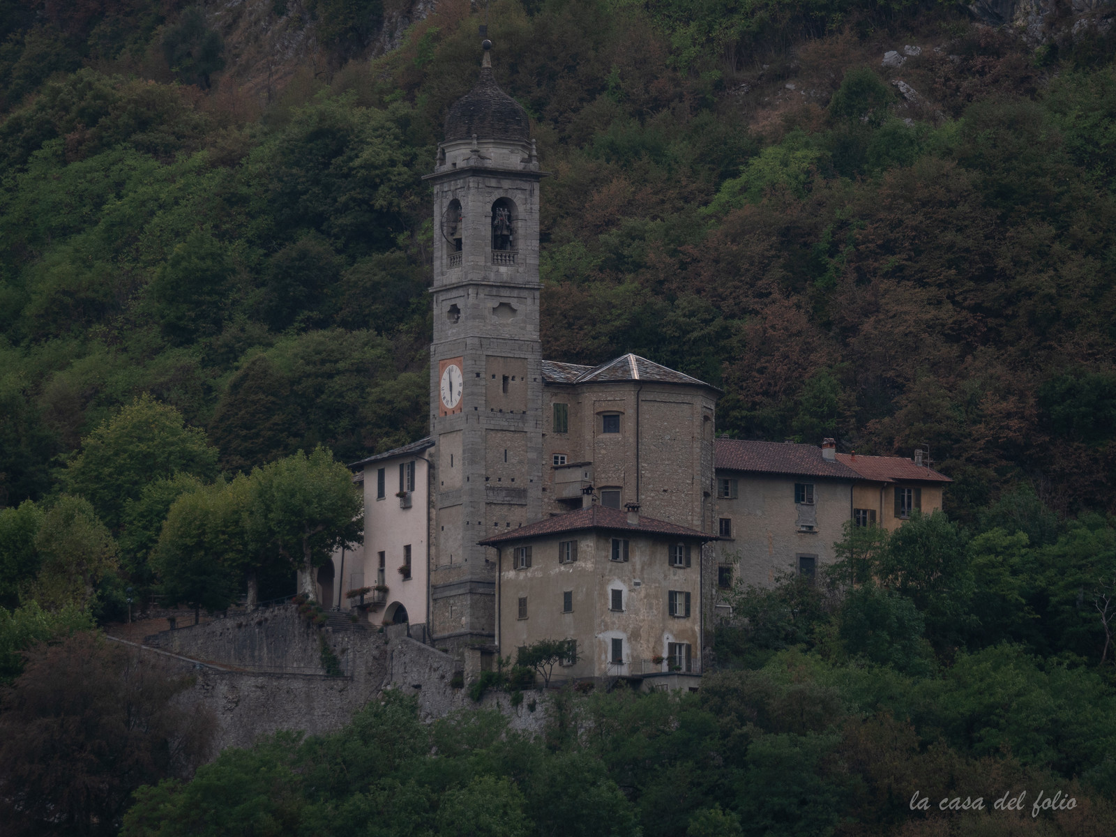 p1482186.jpg