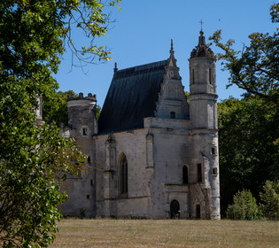 p1025275.jpg