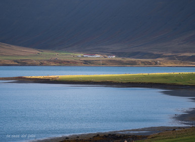 Islande