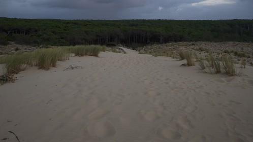 e8d60c8a-34ab-4a2d-8e0e-16a00369f826_1_201_a.jpeg
