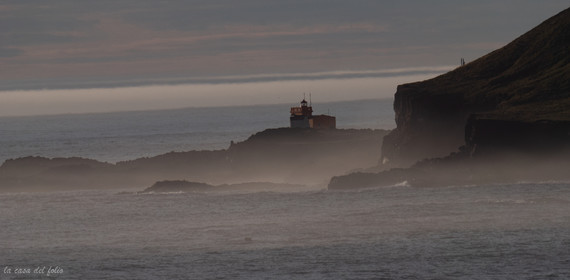 p1559898.jpg