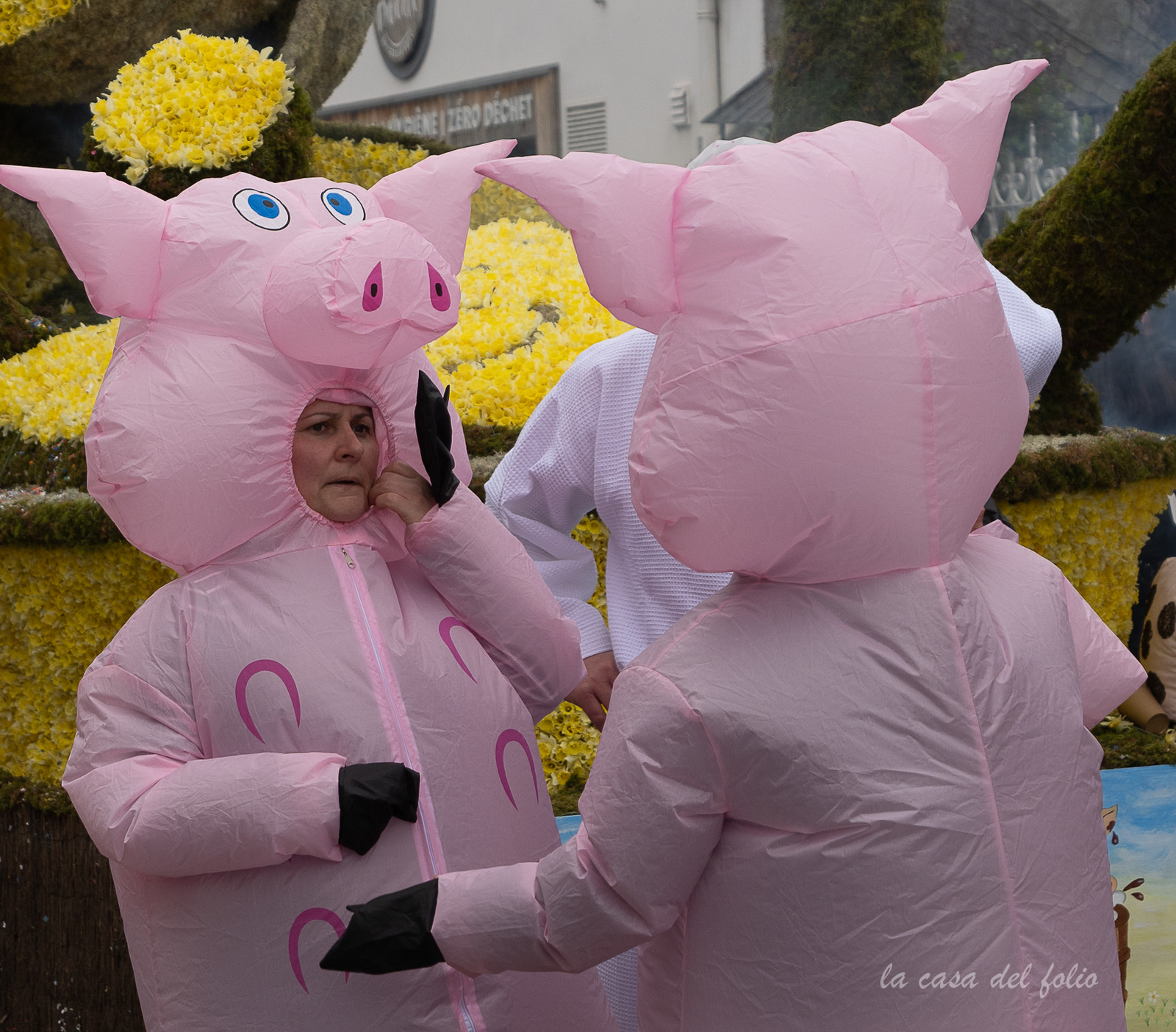 La Fête des Jonquilles