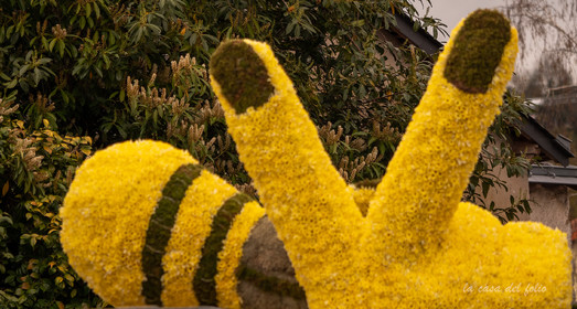La Fête des Jonquilles