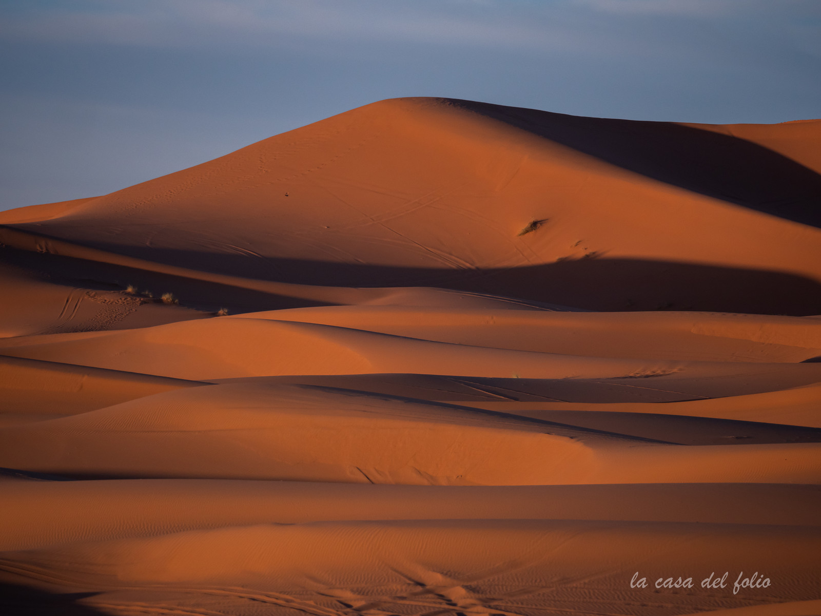 Désert du Sahara