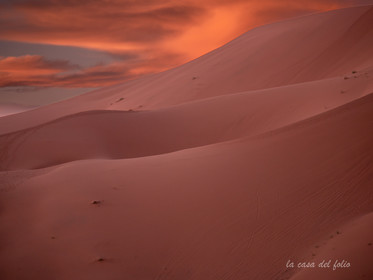 Désert du Sahara