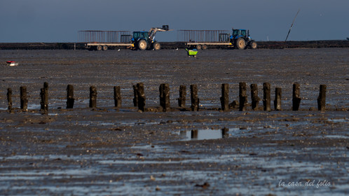 Île de Noirmoutier