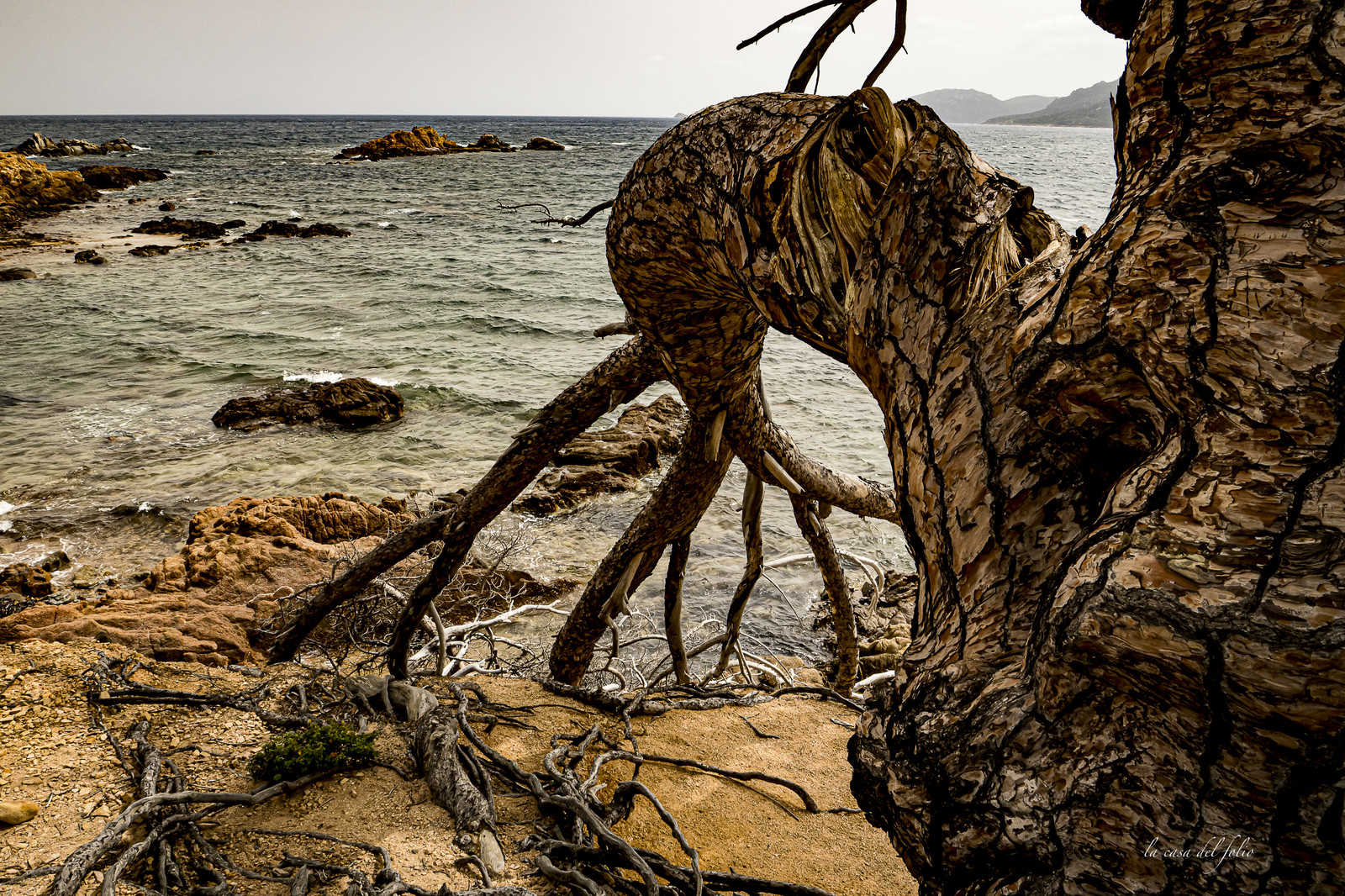 Corse du Sud