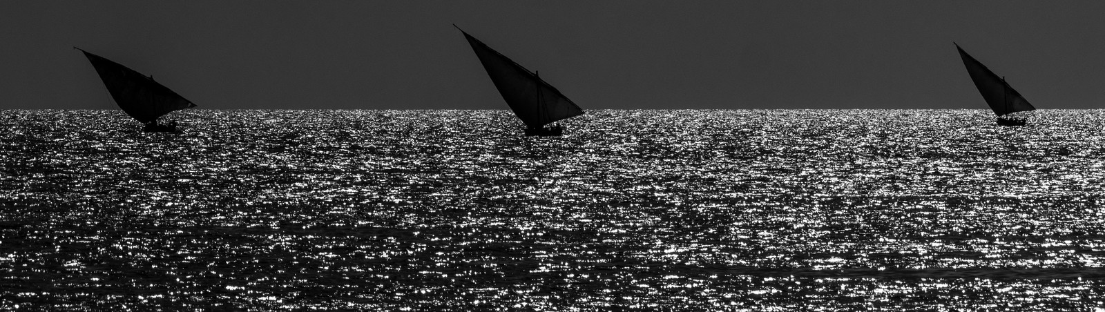 p1207243.jpg