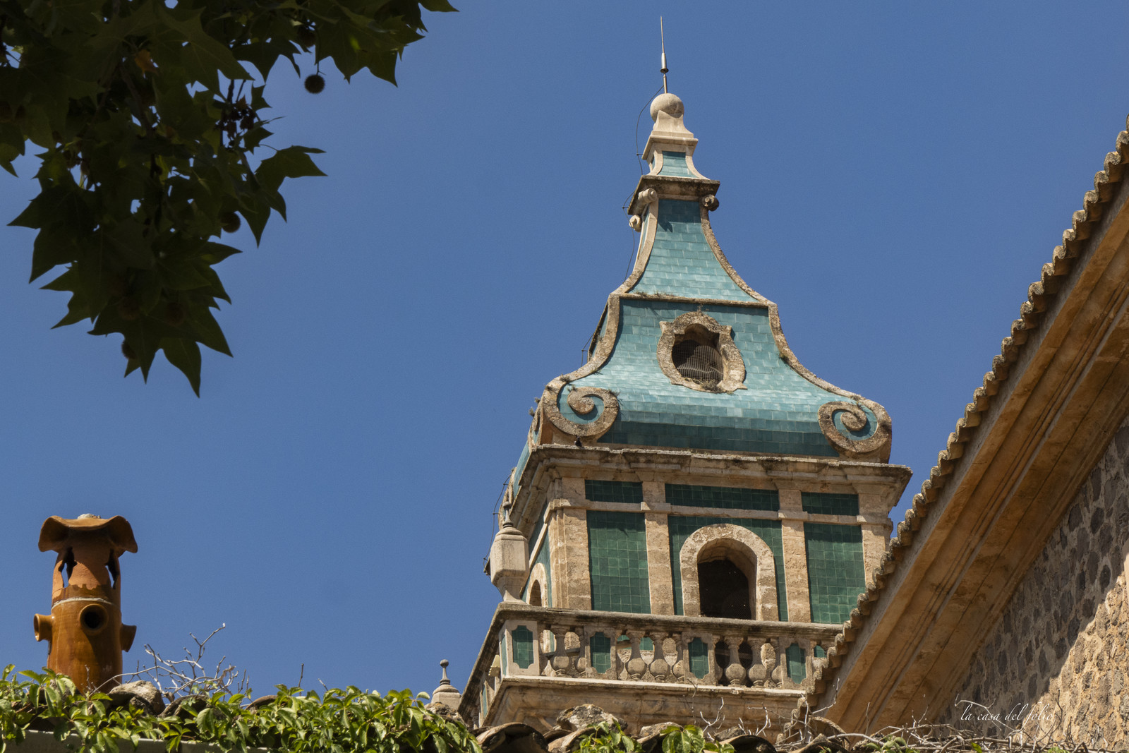 p1156839.jpg