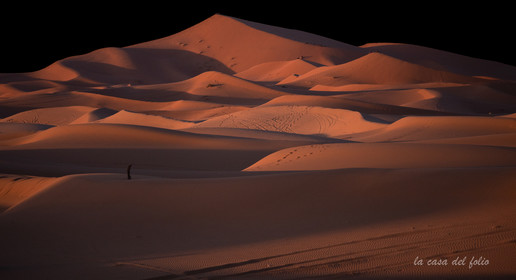 Désert du Sahara