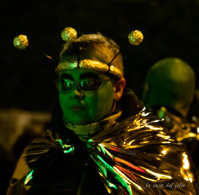 La Fête des Jonquilles