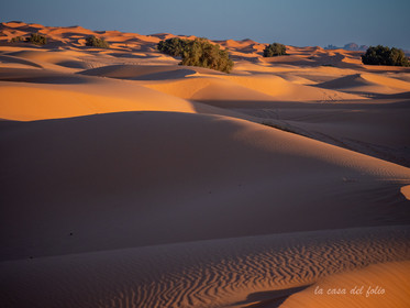 Désert du Sahara