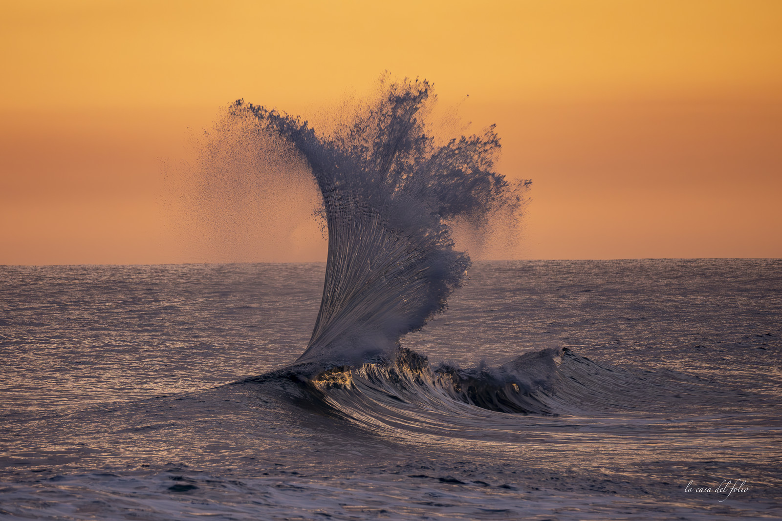 waves in the golden hour
