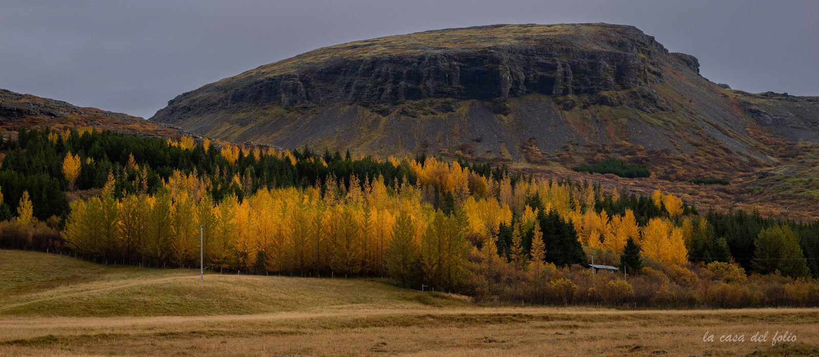 Islande