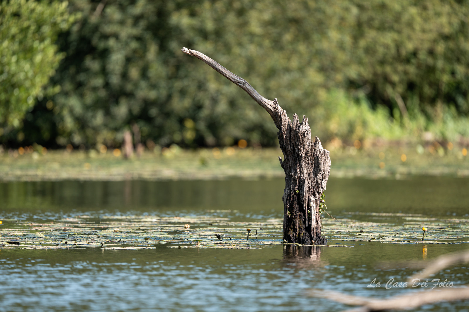 Le Gesvres, La Chapelle-sur-Erdre