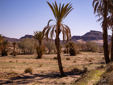 Afrique Maroc
