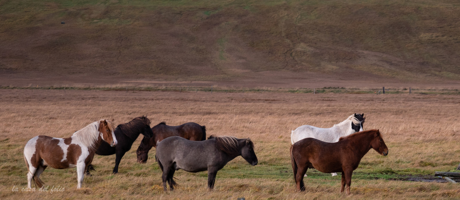 Islande