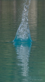 p1482622-2.jpg