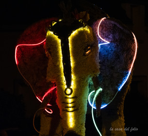 La Fête des Jonquilles