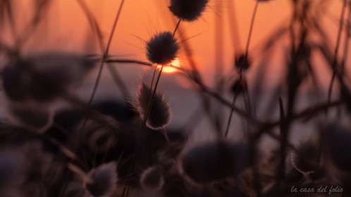 Sunset Bretagne