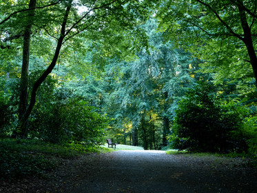 Parc de la Godiniere; Nantes