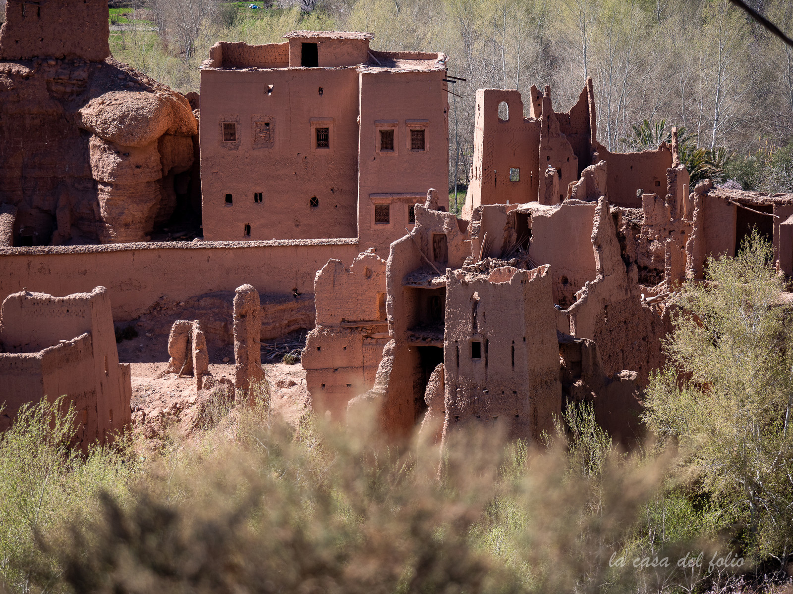 Afrique Maroc