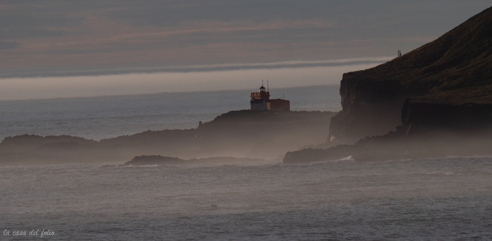 p1559898.jpg