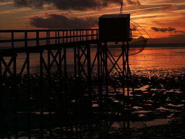 Pêcherie en Loire Atlantique
