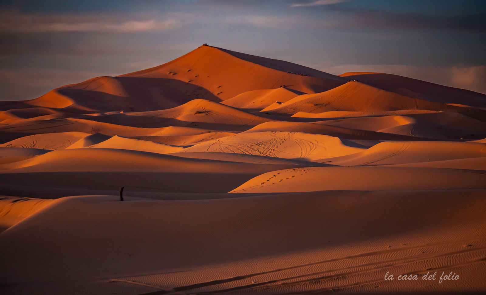 Désert du Sahara