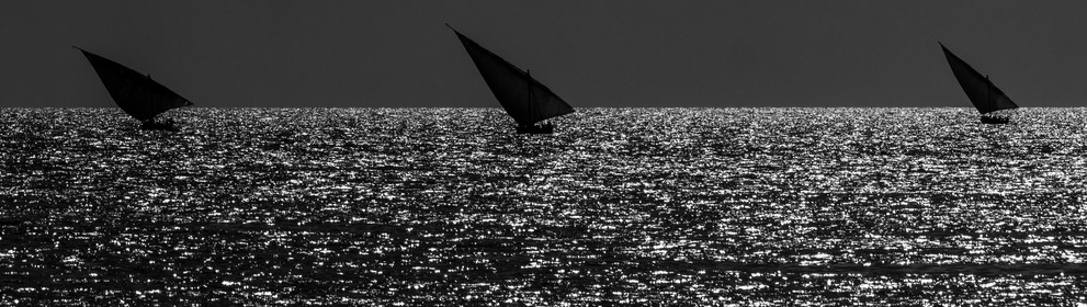 p1207243.jpg