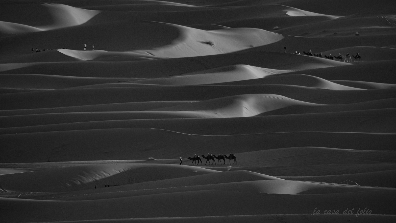 Le Sahara