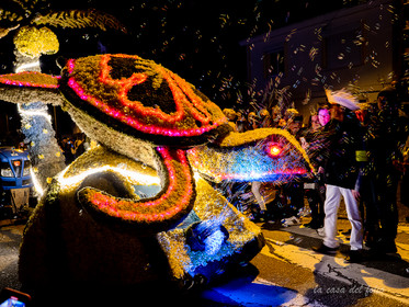 La Fête des Jonquilles