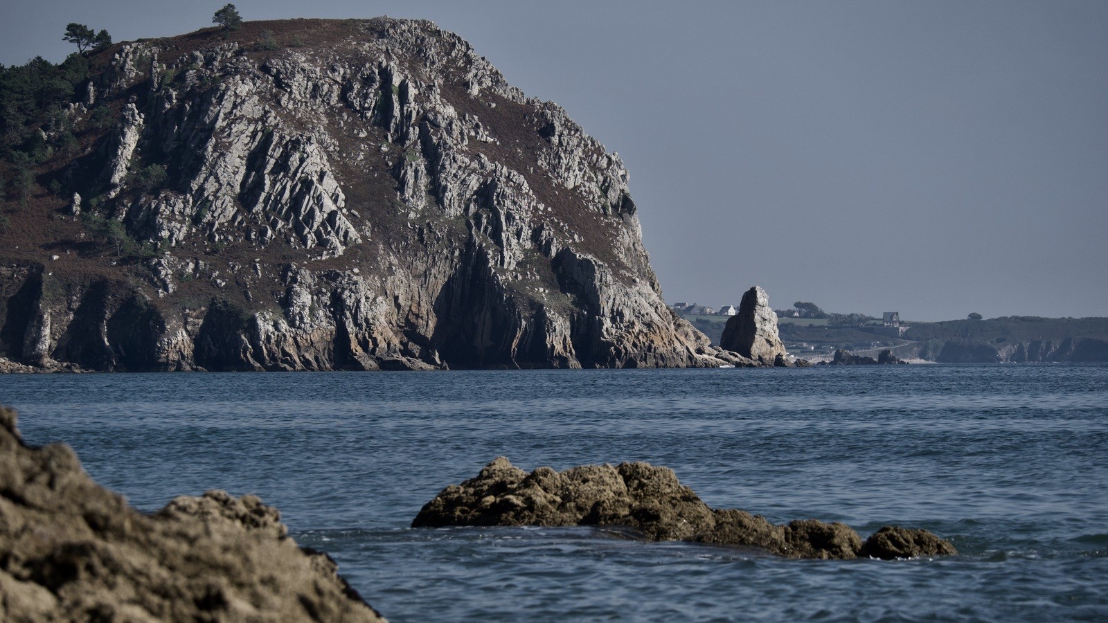 12713478-8144-4b81-908c-d5ff761db7a2_1_201_a.jpeg