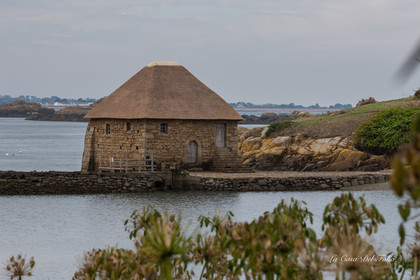 ile-de-Bréhat