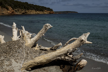Corse