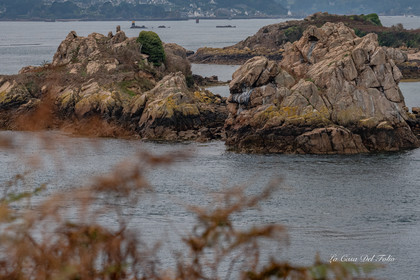 ile-de-Bréhat
