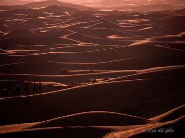 Maroc désert du Sahara,Photo ultra HD sur alu Dibond 120 x 90 cm