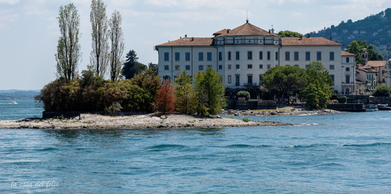 p1036590.jpg