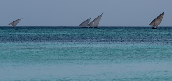 p1207214.jpg